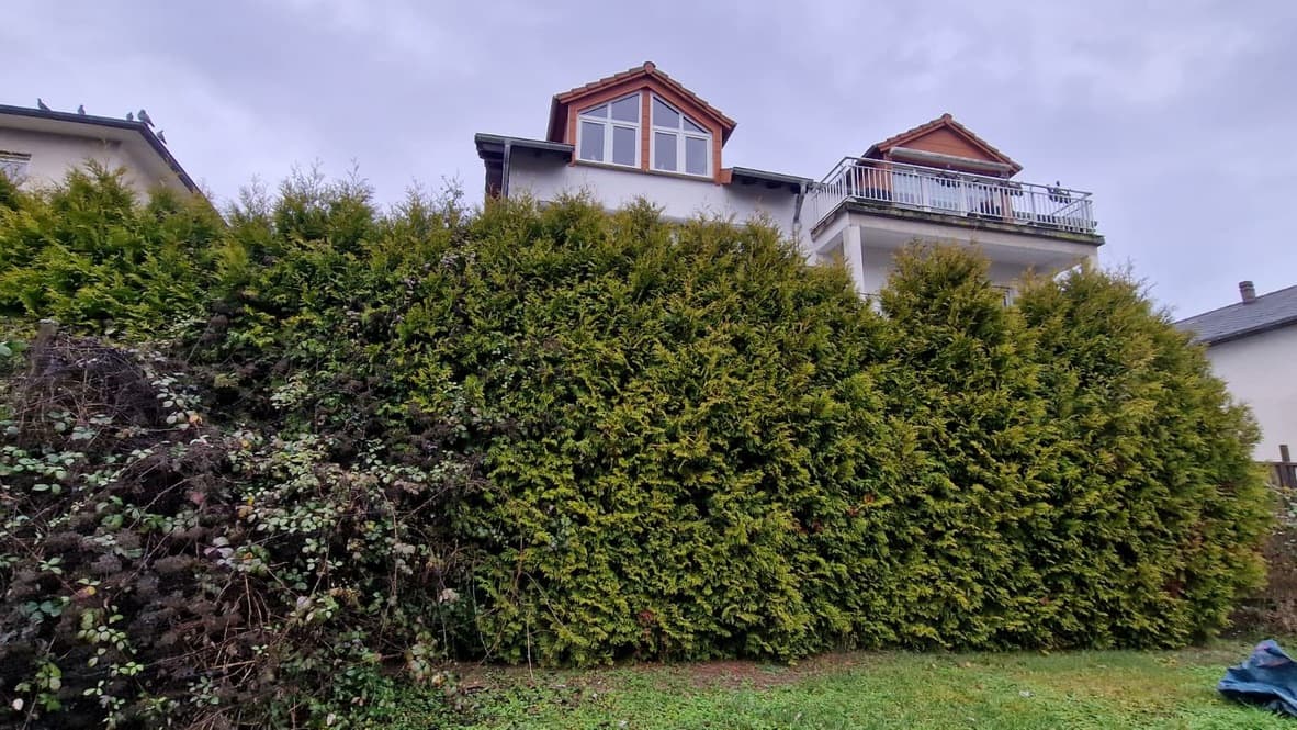 Sauber geschnittene Hecke