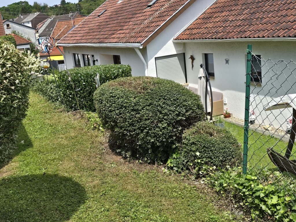 Komplette Gartenumgestaltung — finaler Zustand